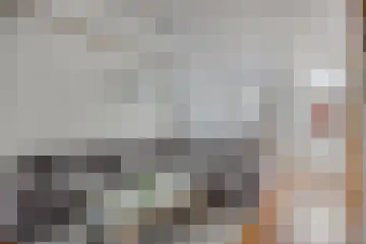 Carnisselaan 17 Rotterdam thumbnail 13