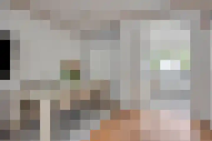 Carnisselaan 17 Rotterdam thumbnail 14