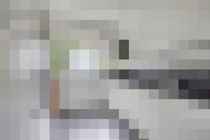 Carnisselaan 17 Rotterdam thumbnail 15