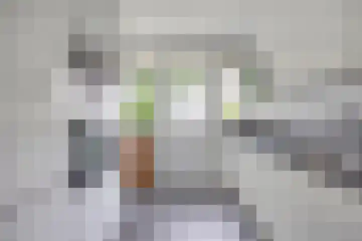 Carnisselaan 17 Rotterdam thumbnail 16