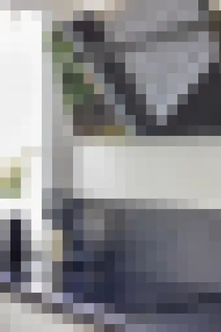 Carnisselaan 17 Rotterdam thumbnail 18