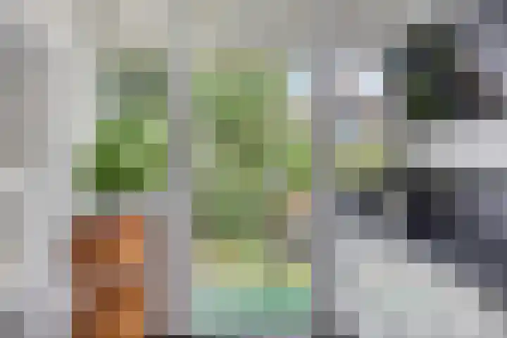Carnisselaan 17 Rotterdam thumbnail 24