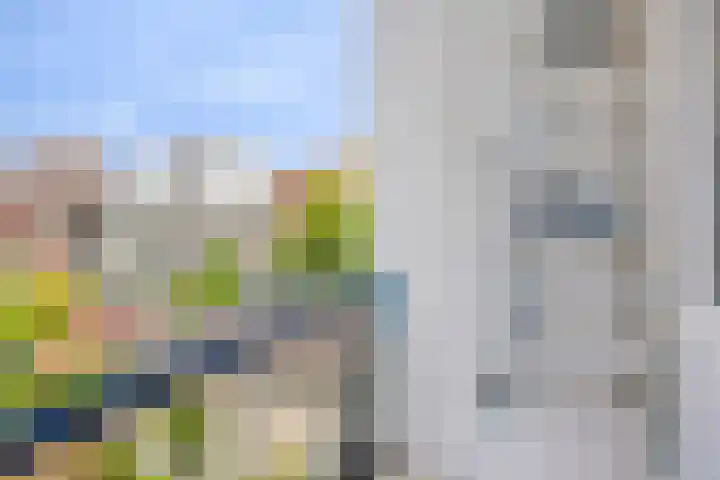 Carnisselaan 17 Rotterdam thumbnail 33