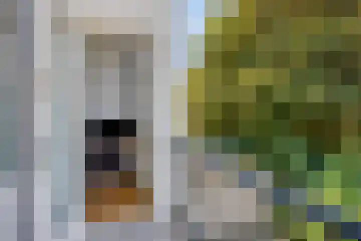 Carnisselaan 17 Rotterdam thumbnail 34