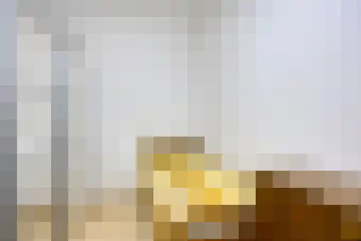 Carnisselaan 17 Rotterdam thumbnail 37