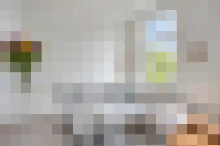Carnisselaan 17 Rotterdam thumbnail 39