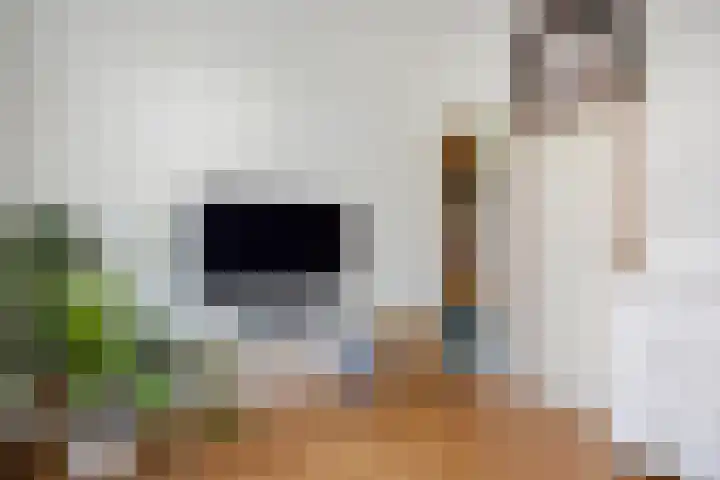 Carnisselaan 17 Rotterdam thumbnail 41