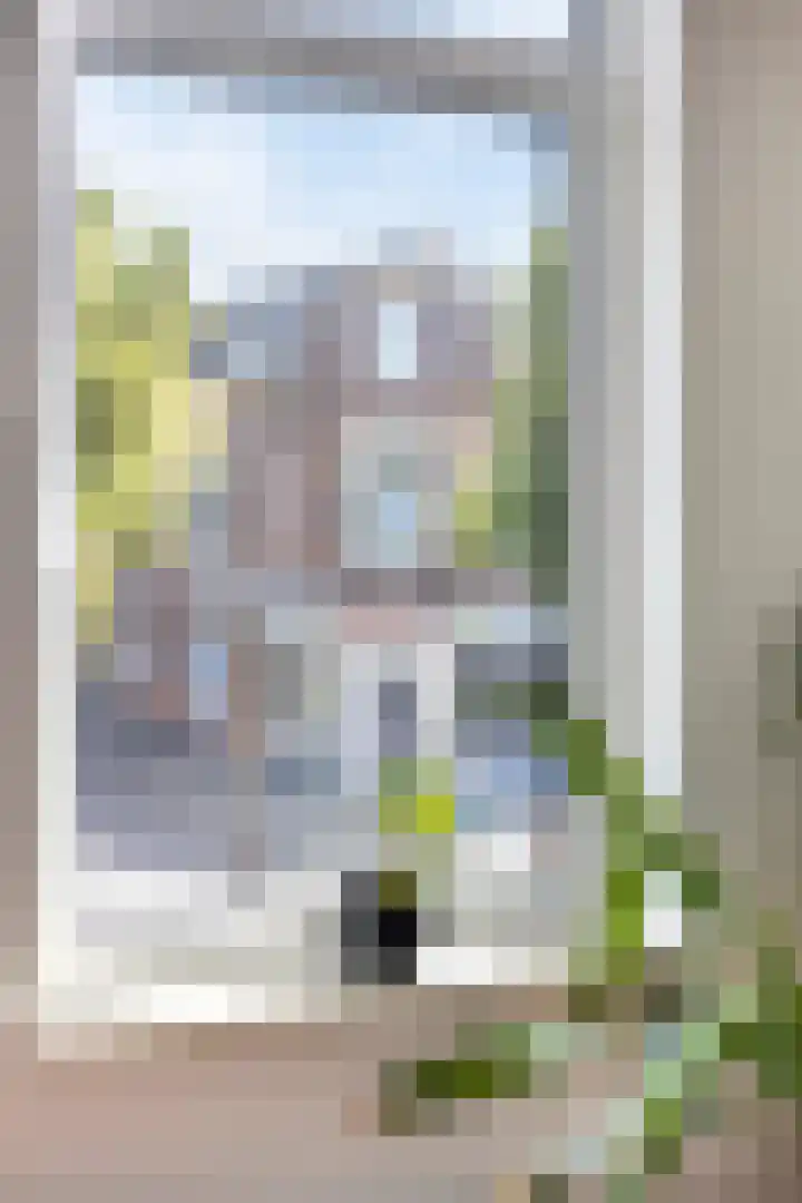 Carnisselaan 17 Rotterdam thumbnail 43