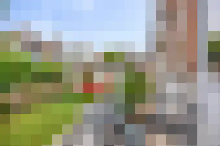 Carnisselaan 17 Rotterdam thumbnail 55