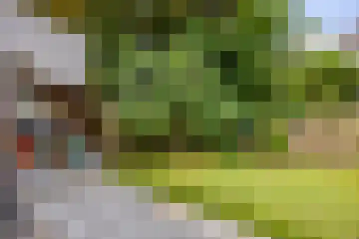 Carnisselaan 17 Rotterdam thumbnail 57