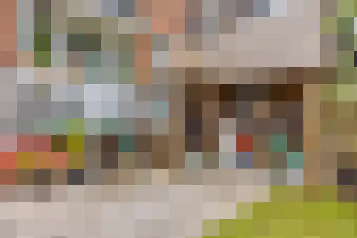 Carnisselaan 17 Rotterdam thumbnail 58