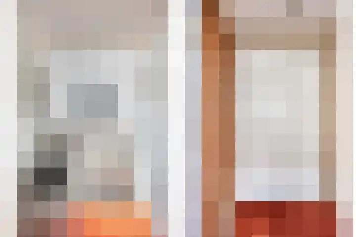 Carnisselaan 17 Rotterdam thumbnail 65