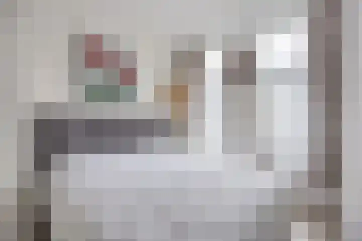 Carnisselaan 17 Rotterdam thumbnail 8