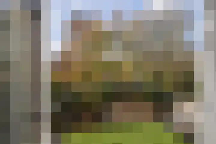 Carnisselaan 23 A Rotterdam thumbnail 11