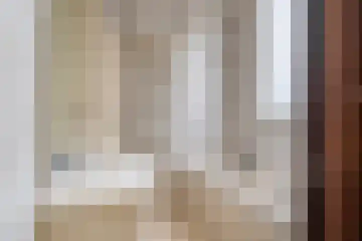 Carnisselaan 23 A Rotterdam thumbnail 13