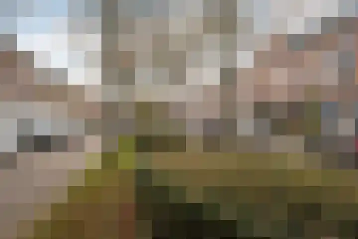 Carnisselaan 23 A Rotterdam thumbnail 21