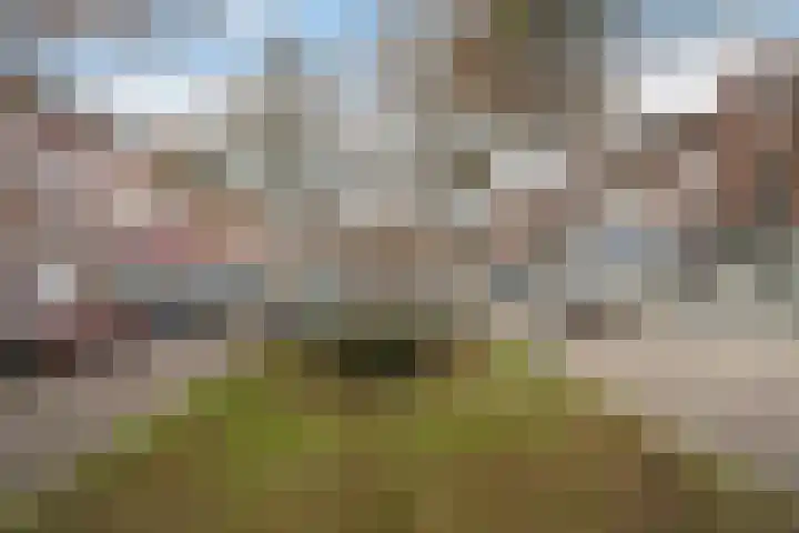 Carnisselaan 23 A Rotterdam thumbnail 22