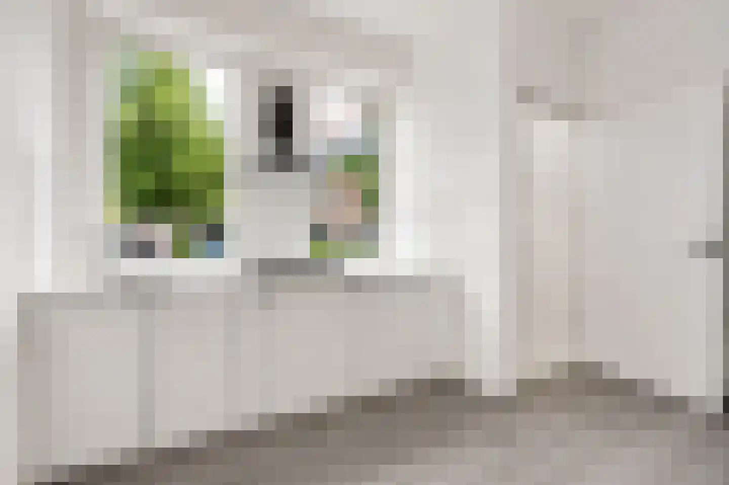 Carnisselaan 23 A Rotterdam thumbnail 4