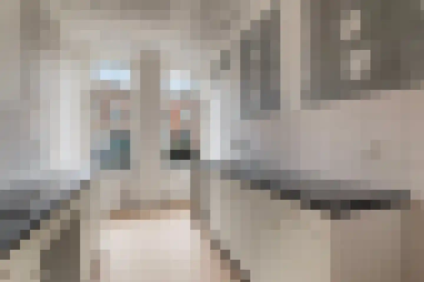 Carnisselaan 25 Rotterdam thumbnail 14