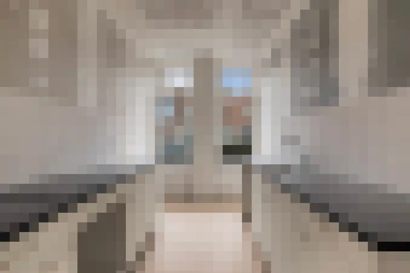Carnisselaan 25 Rotterdam thumbnail 15