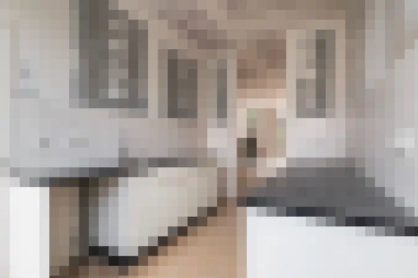 Carnisselaan 25 Rotterdam thumbnail 16