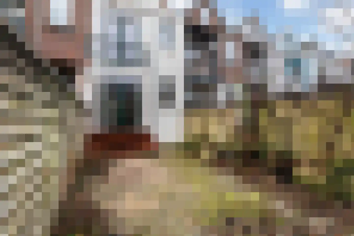 Carnisselaan 25 Rotterdam thumbnail 22