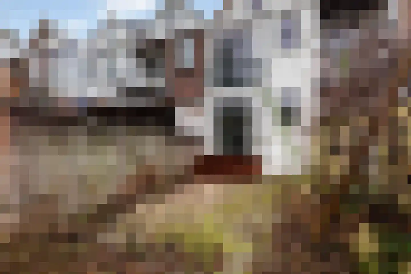 Carnisselaan 25 Rotterdam thumbnail 23