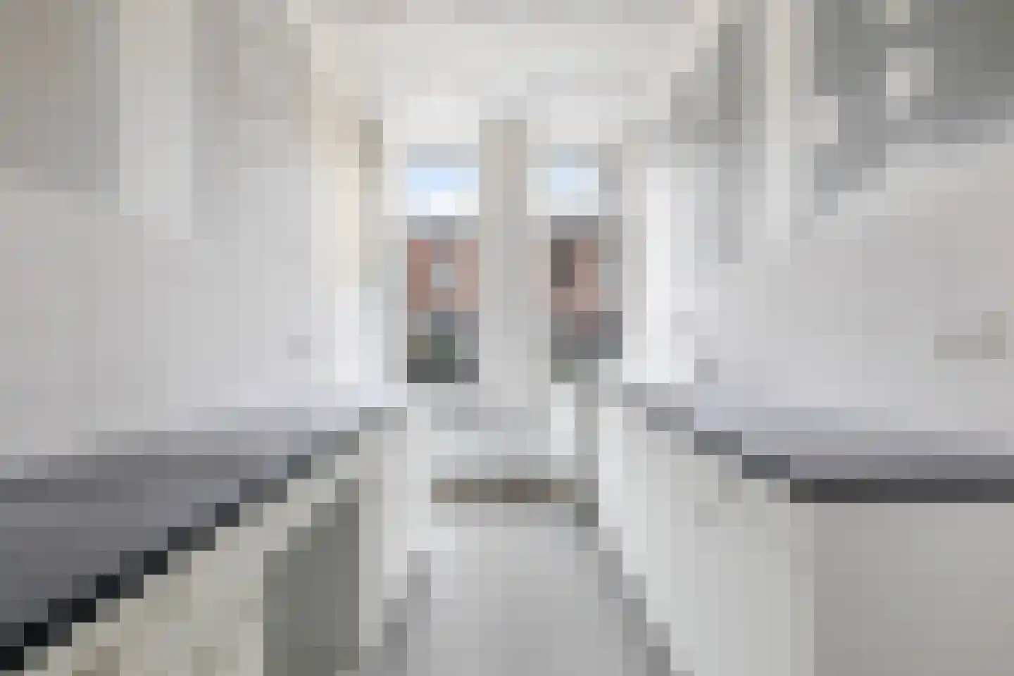 Carnisselaan 26 Rotterdam thumbnail 10
