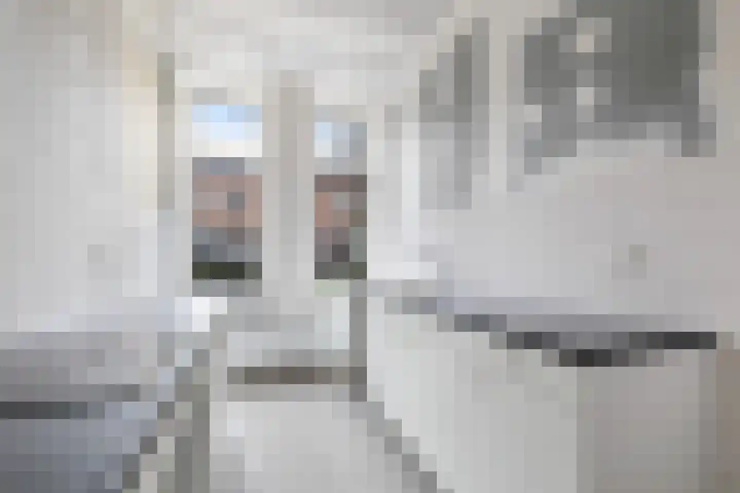 Carnisselaan 26 Rotterdam thumbnail 11