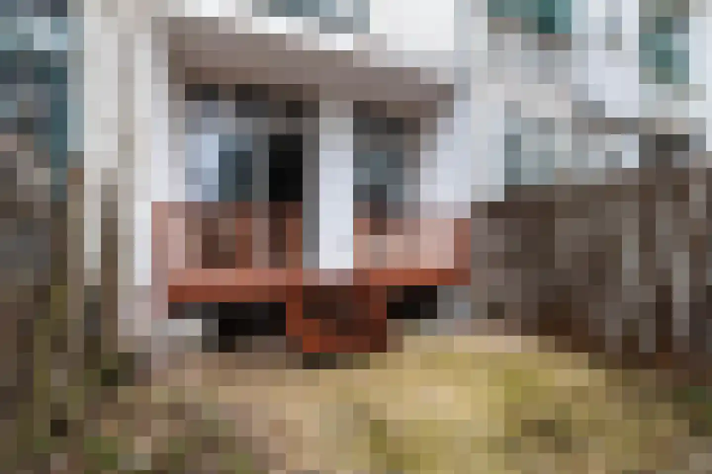Carnisselaan 26 Rotterdam thumbnail 22