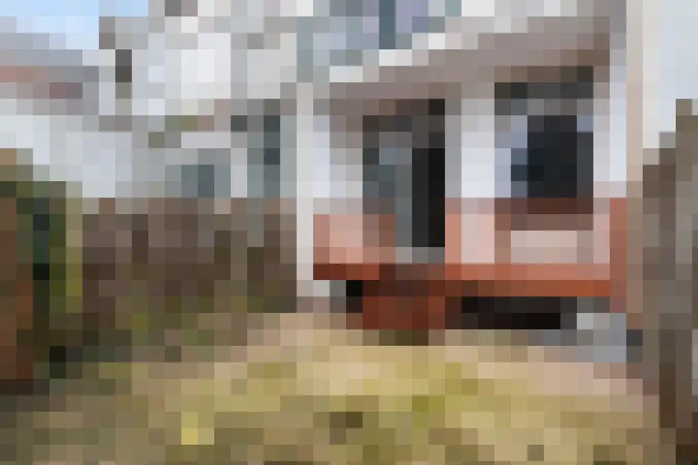 Carnisselaan 26 Rotterdam thumbnail 23