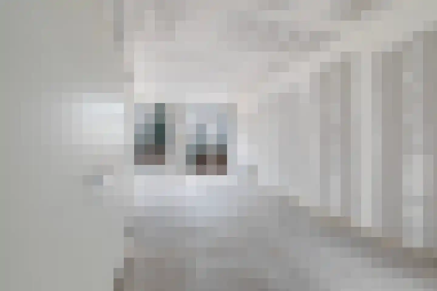 Carnisselaan 26 Rotterdam thumbnail 9