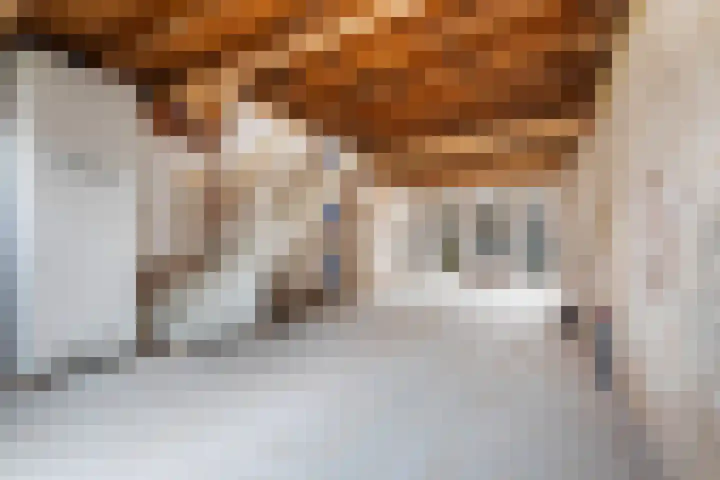 Carnisselaan 60 Rotterdam thumbnail 6