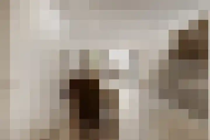 Carnisselaan 65 Rotterdam thumbnail 11