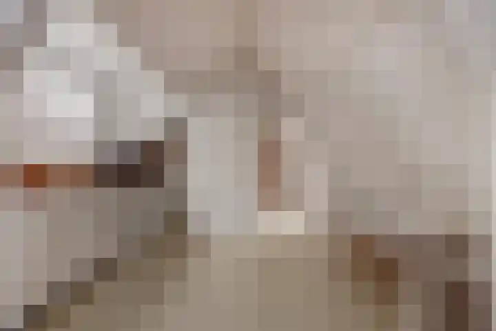 Carnisselaan 65 Rotterdam thumbnail 24