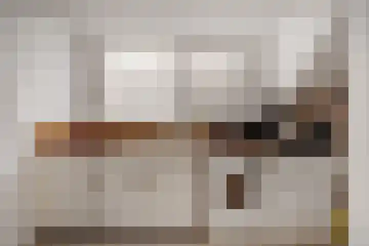 Carnisselaan 65 Rotterdam thumbnail 25