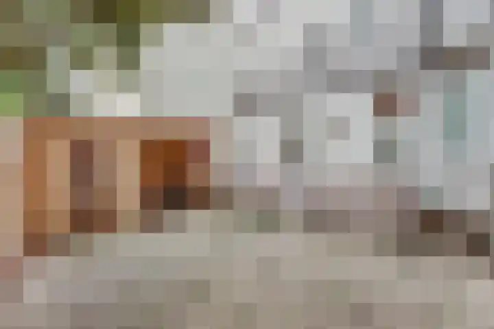 Carnisselaan 65 Rotterdam thumbnail 36