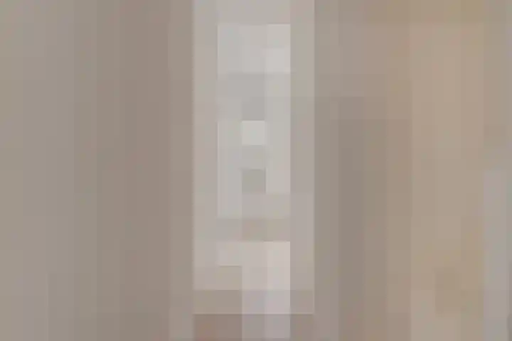 Carnisselaan 65 Rotterdam thumbnail 4