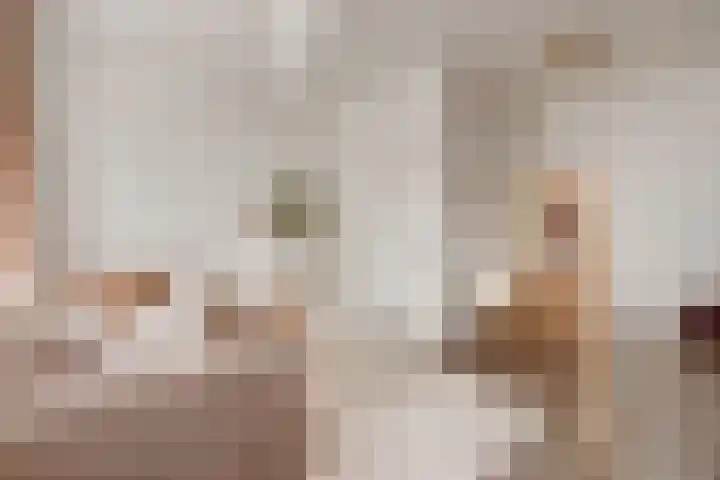Carnisselaan 65 Rotterdam thumbnail 5