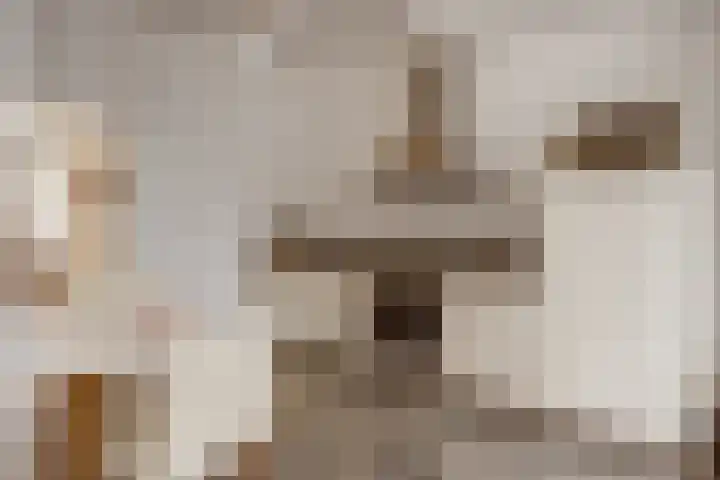 Carnisselaan 65 Rotterdam thumbnail 8