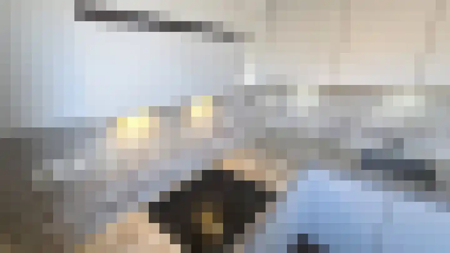 Carnisselaan 83 B Rotterdam thumbnail 7