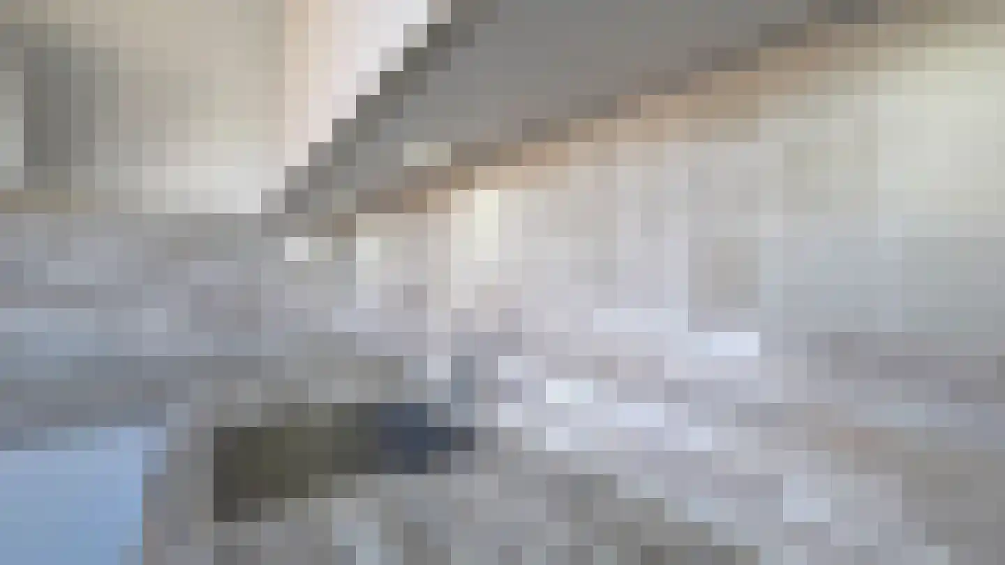 Carnisselaan 83 B Rotterdam thumbnail 8