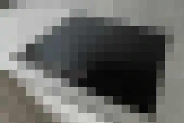 Caro van Eijcklaan 9 Elst thumbnail 10