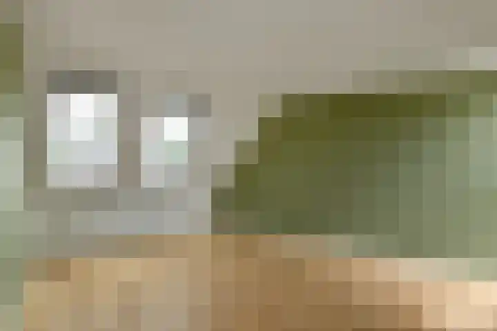 Caro van Eijcklaan 9 Elst thumbnail 14