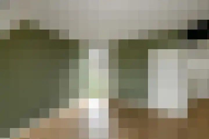 Caro van Eijcklaan 9 Elst thumbnail 16