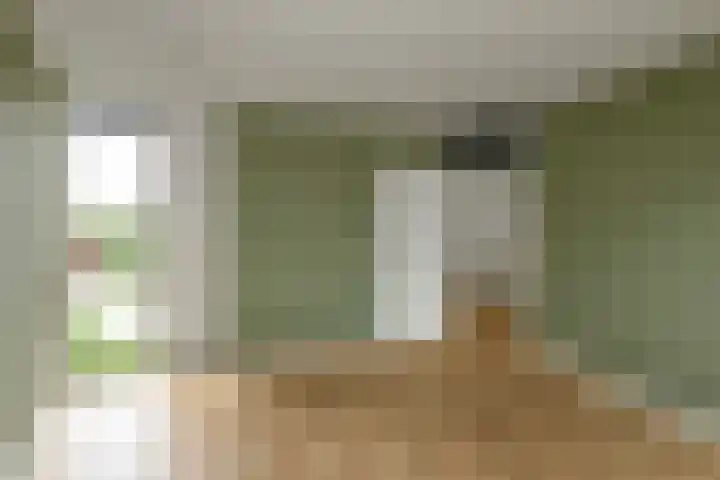 Caro van Eijcklaan 9 Elst thumbnail 17