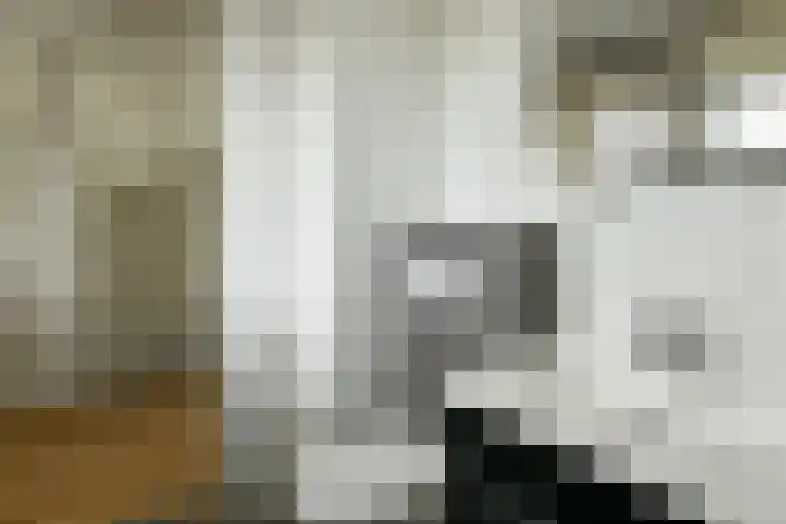 Caro van Eijcklaan 9 Elst thumbnail 22