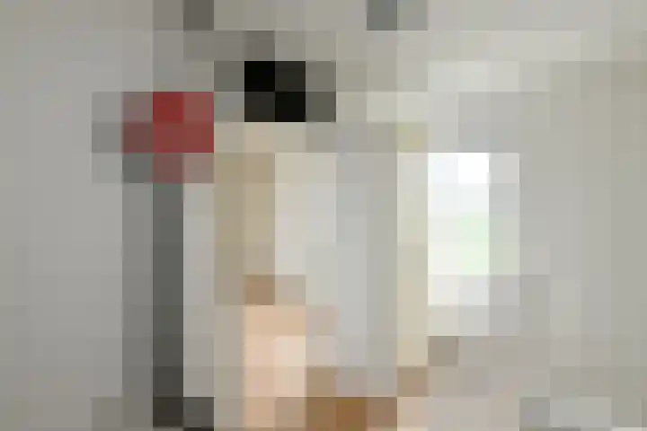 Caro van Eijcklaan 9 Elst thumbnail 28