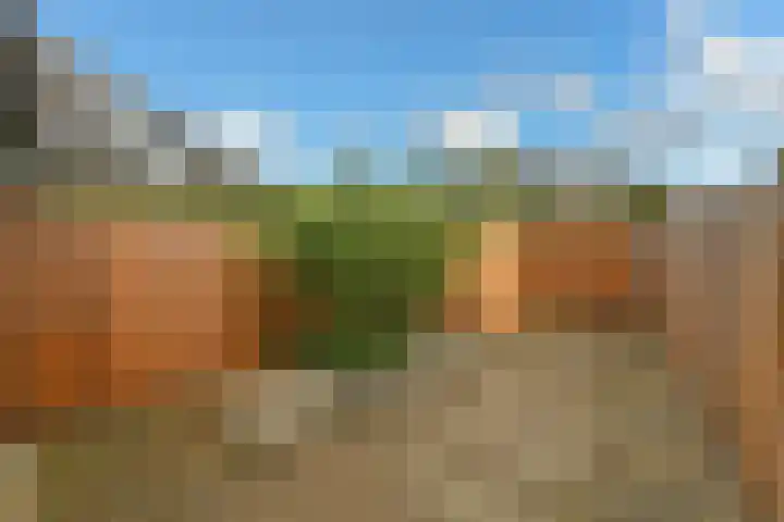 Caro van Eijcklaan 9 Elst thumbnail 29