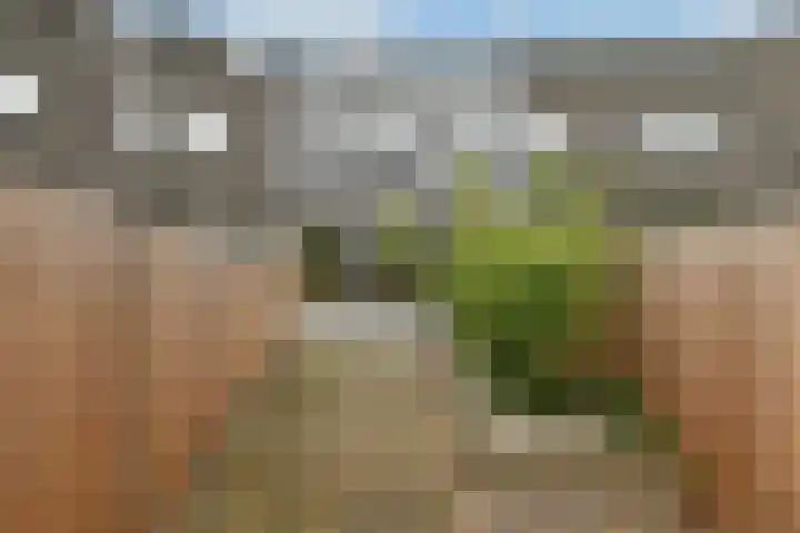 Caro van Eijcklaan 9 Elst thumbnail 30